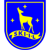 Ski